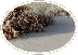 C-02
