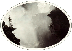 C-03